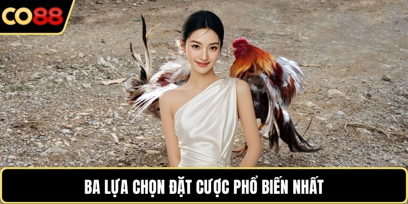 Ba lựa chọn đặt cược phổ biến nhất