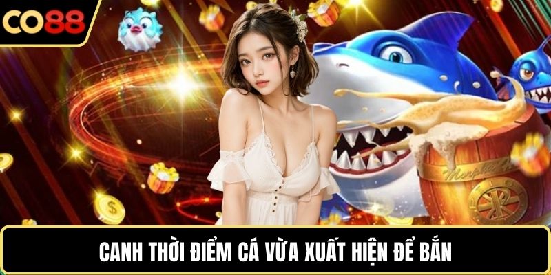 Canh thời điểm cá vừa xuất hiện để bắn