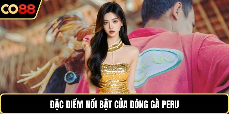 Đặc điểm nổi bật của dòng gà Peru