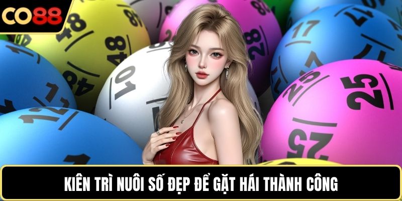 Kiên trì nuôi số đẹp để gặt hái thành công