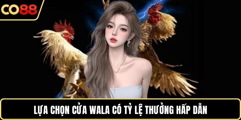 Lựa chọn cửa Wala có tỷ lệ thưởng hấp dẫn