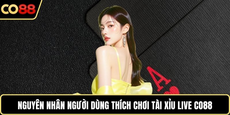 Nguyên nhân người dùng thích chơi tài xỉu live CO88