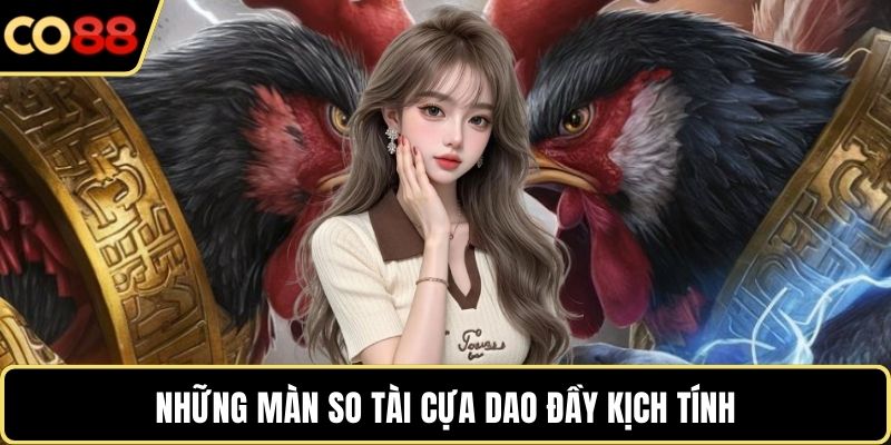 Những màn so tài cựa dao đầy kịch tính