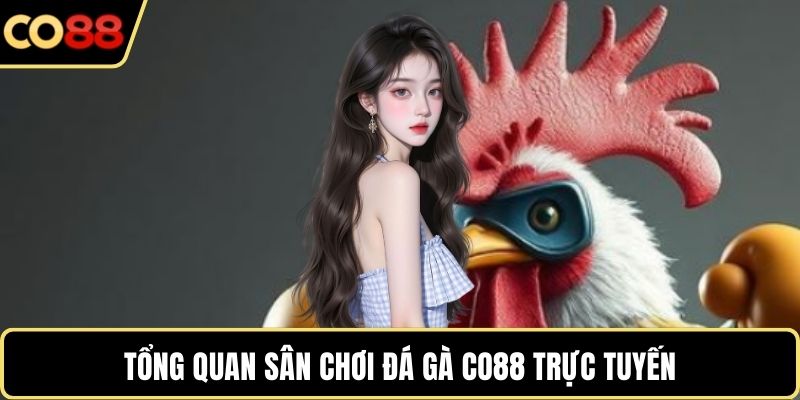 Tổng quan sân chơi đá gà CO88 trực tuyến