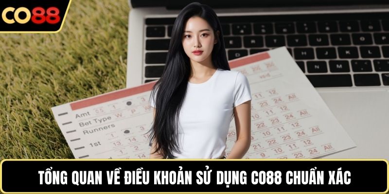 Tổng quan về điều khoản sử dụng CO88 chuẩn xác